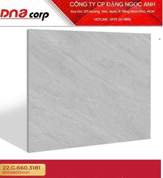  60*60 3181 Gạch ốp lát đá bs mờ (1.44m/4v/th) 