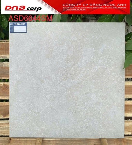  60*60 ASD6644SM Gạch lát nền đá bán xứ mờ (1.44m/4v/thùng) 