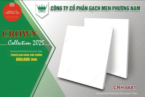 60x60 CRH6681 Gạch Đá Sứ Phương Nam 