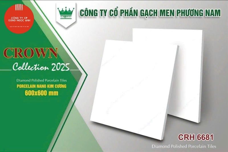  60x60 CRH6681 Gạch Đá Sứ Phương Nam 