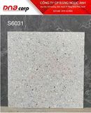  60*60 66204 Gạch ốp lát trang trí đá bóng (4v/th/1.44m) 