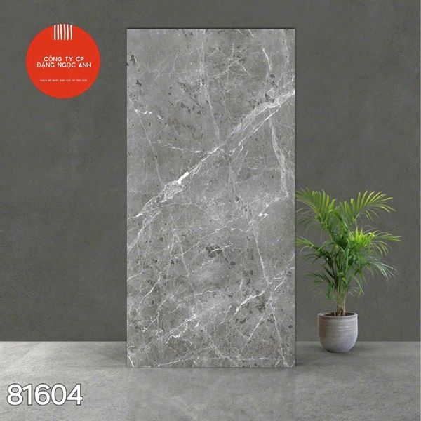  Gạch 81604 Ấn Độ 80×160 