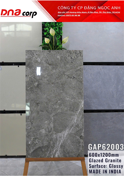  60*120 GAP62003 Gạch ốp lát đá bk ấn độ (2v/thùng/1.44met) 