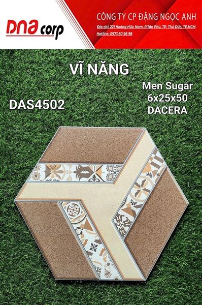  6x25x50 DAS4502 Gạch Men Lục Giác 
