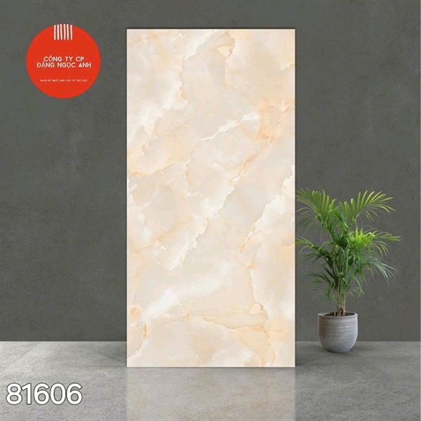  Gạch 81606 Ấn Độ 80×160 