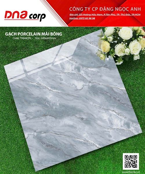  60x60 TK6685N Gạch Porcelain Mài Bóng 