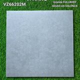  vz66201m 60*60 đá mờ 