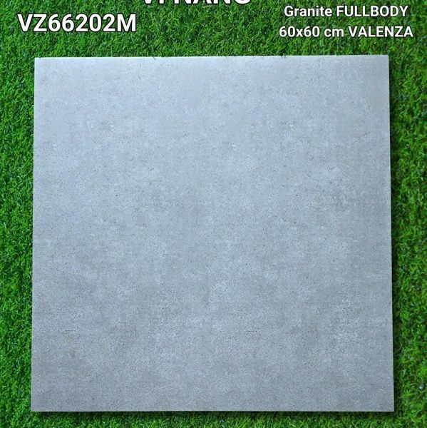  vz66201m 60*60 đá mờ 