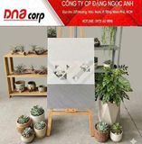  30*60 VNGM3062 đá mờ Nhạt vitaly (8v/th/1,44 m)loại 2 