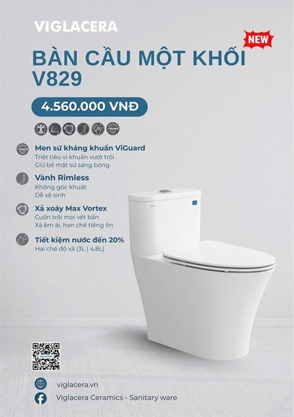  cầu 1 khối V829 xả xoáy max voter 3/6L( đã giảm, giá niêm yết 4560k) 