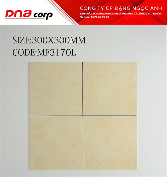  30*30 MF3170l Gạch lát nền đá TQ (11v/th/0.99 mét) 