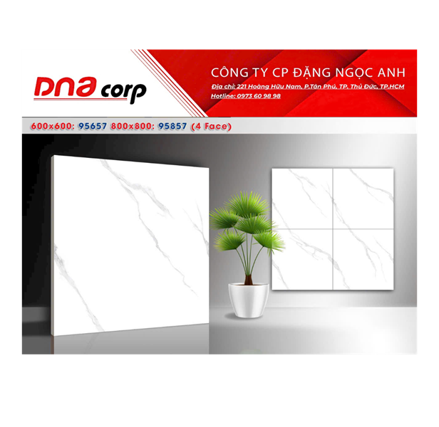  60*60 95657 gạch ốp lát đá bóng kính takao (1.8M/5V/TH) 