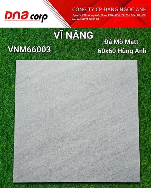  60x60 VNM66003 Đá Mờ Matt Hùng Anh 
