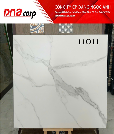  Gạch Ấn Độ 100*100 11011 gạch đá mờ 