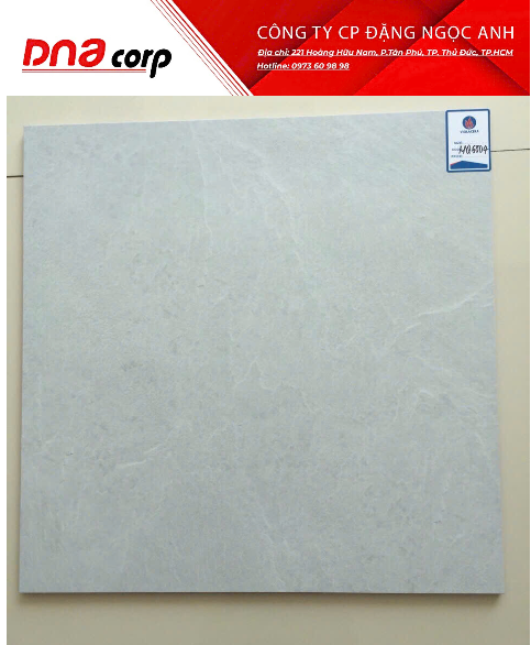  60*60 MQ6004 Gạch bán sứ mờ viglacera 4v/th/1.44m G6001 