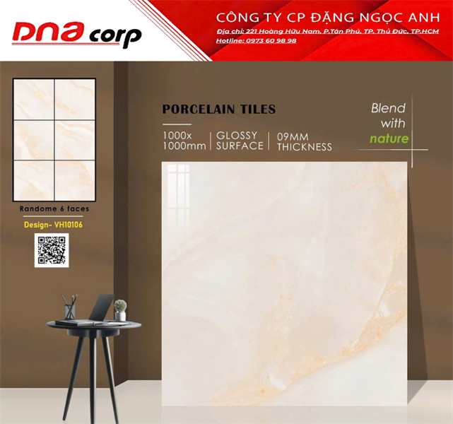  100x100 VH10106 Gạch Ấn Độ 