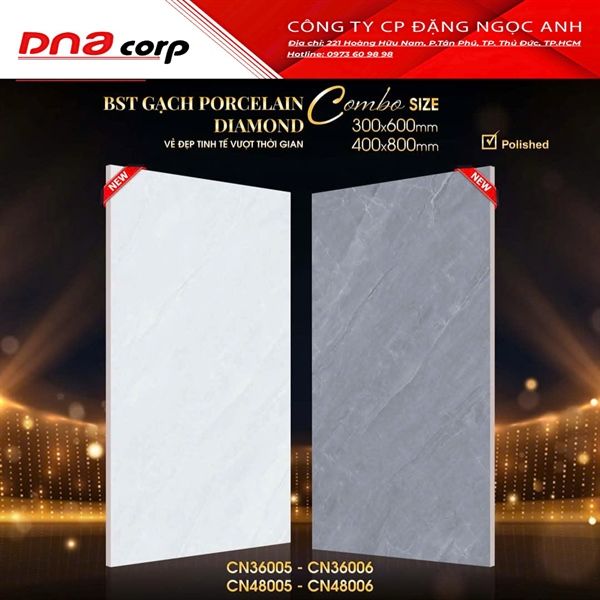  40x80 CN48005 Gạch Đá Bóng Nhạt 