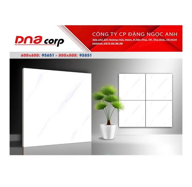  60*60 95651 gạch ốp lát đá bóng kính takao (1.8M/5V/TH) 