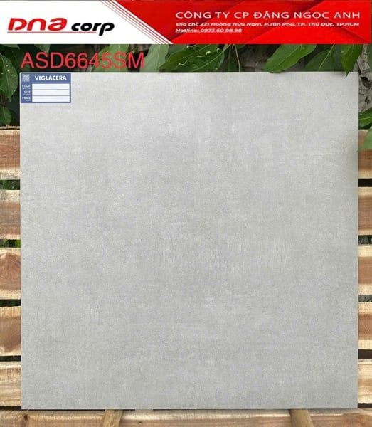  60*60 ASD 6643SM Gạch lát nền đá bán xứ mờ (1.44m/4v/thùng) 