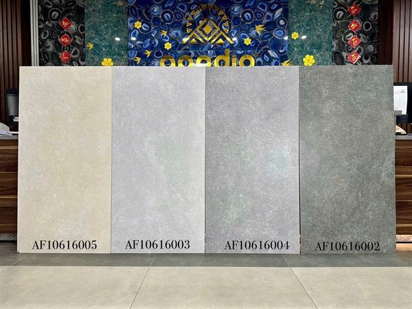  mờ 60x120cm af106176703 opodio 