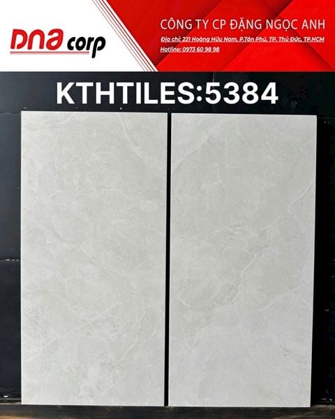  30x60 5384 Gạch Đá Mờ 