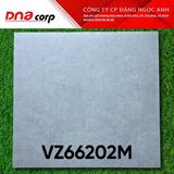  vz66202m 60*60 đá mờ 