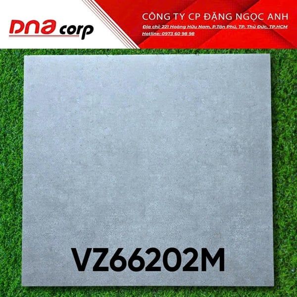  vz66202m 60*60 đá mờ 