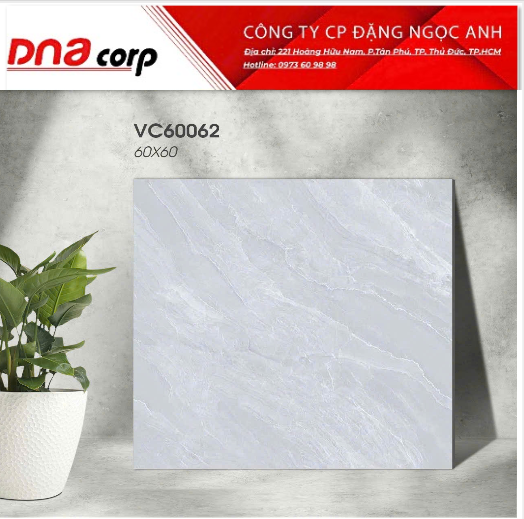  60*60 VC60062 gạch lát nền đá bóng kính Vicenza(1.44m/4v/th) 