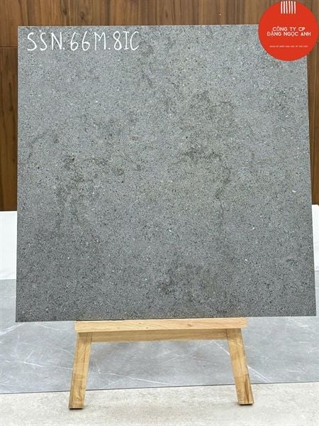  60*60 SSN 66M 8IC Gạch Đá Mờ th/4v/1.44m 