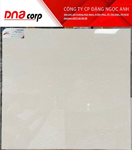  60*60 TB623 Gạch lát nền đá bóng kính Viglacera (1.44m/4v/th) 