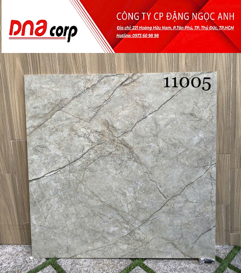  Gạch Ấn Độ 100*100 11005 gạch đá 