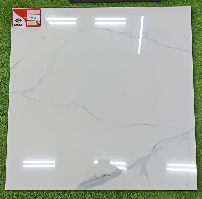  60*60 TPN662 gạch lát nền đá bán sứ (1.44m/4v/th) 