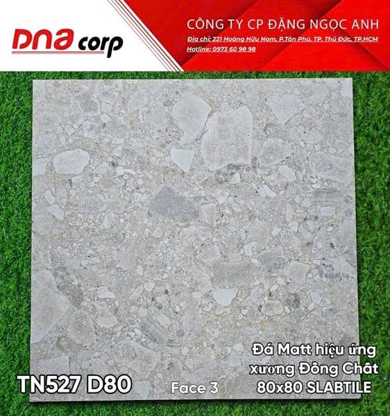  80x80 TN527 D80 Face 3 Đá Matt hiệu ứng xương đồng chất Stabtile 
