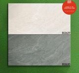  ĐÁ BS ĐẬM BỘ 30x60 BS3630 Mờ Viglacera 