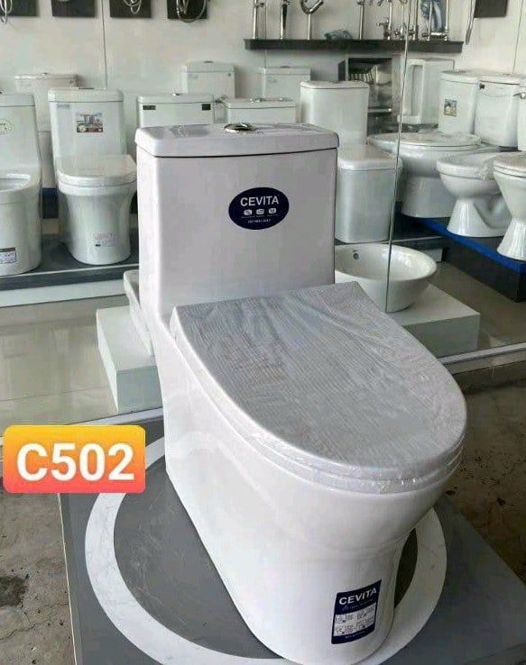 Cầu 1 khối cevita C502 Giá đã giảm 