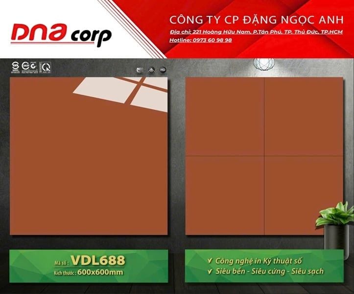  60x60 VLD688 Gạch Bóng Mikado 
