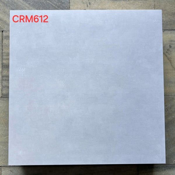  men matt 60*60 loại 1pn cr612 (th/5v/1.8m 