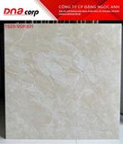  80*80 ts25-vgp821 viglacera 