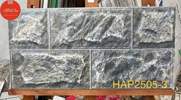  25*50 HAP25053 Gạch đá trang trí (8v/th/1m) 