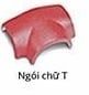  Ngói chạc chữ T tráng men đồng tâm 03 