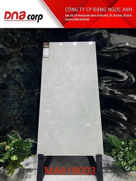  mờ 60x120cm 618003 apodio 