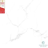  80*80 NY801 Gạch lát nền đá bóng kính Prime (3v/th/1,92m) 