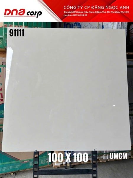  Gạch 91111 United Tiles 100x100 