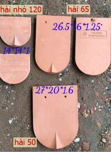  ngói mũi hài trung đồng nai 16x26.5 ( 65v/m) 