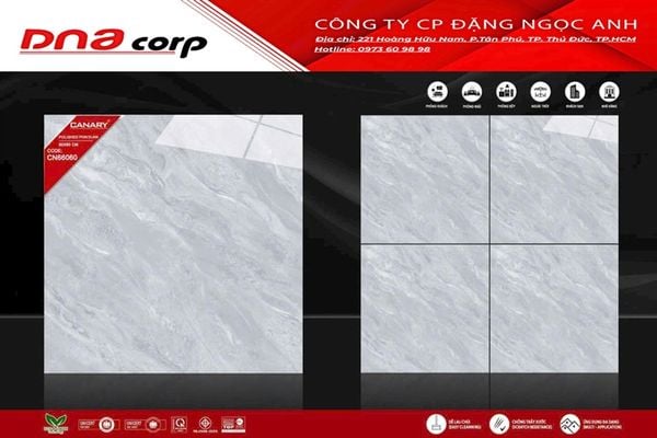  60x60 CN66060 Gạch Đá Bóng 