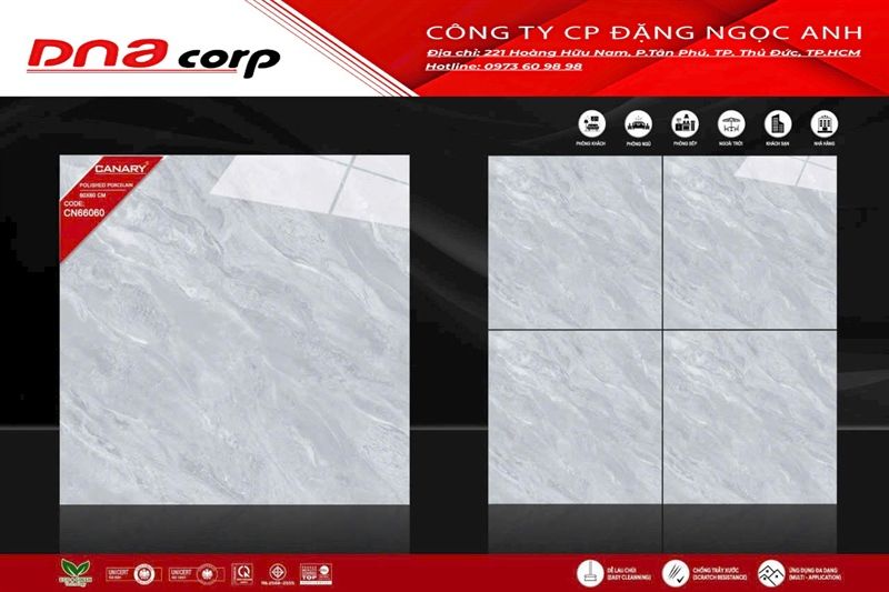  60x60 CN66060 Gạch Đá Bóng 