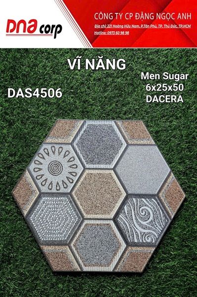 6x25x50 das4506 Gạch Men Lục Giác 