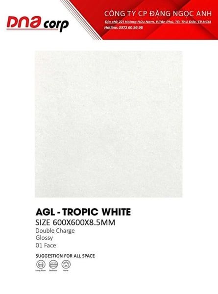  60*60 AGL- TROPIC WHITE GẠCH LÁT NỀN ĐA BK (4V/TH/1.44M) 