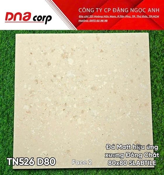  80x80 TN526 D80 Face 2 Đá Matt hiệu ứng xương đồng chất Stabtile 