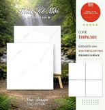  60*60 THP6301 Gạch lát nền đá bóng kính Pancera (5v/1.8m/th) 